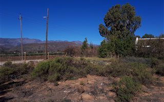 1100 m² Land available in McGregor