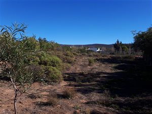 1100 m² Land available in McGregor