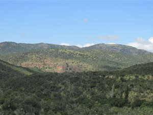 1740 ha Farm in Cathcart