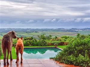2 ha Farm in Ballito