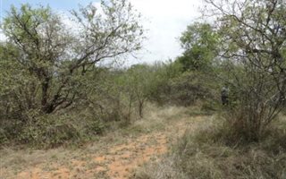 1.2 ha Land available in Zandspruit Bush and Aero Estate