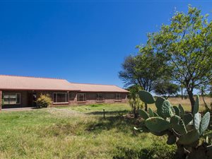 25 ha Farm in Bashewa