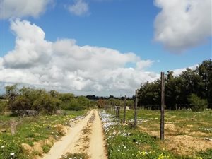 5 ha Farm in Malmesbury
