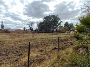 2.1 ha Farm in Brentwood Park