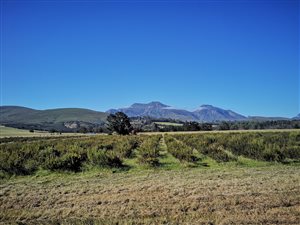 27 ha Farm in Mossel Bay Central