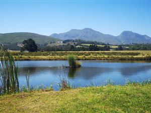 27 ha Farm in Mossel Bay Central