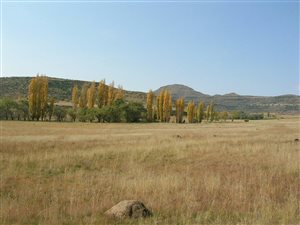 978 ha Farm in Wepener
