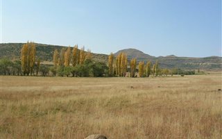 978 ha Farm in Wepener