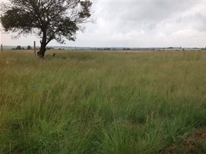 34 ha Land available in Randfontein