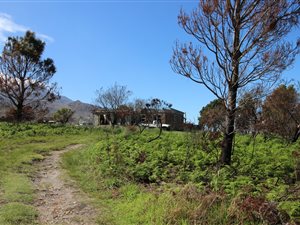1 Bed House in Pringle Bay
