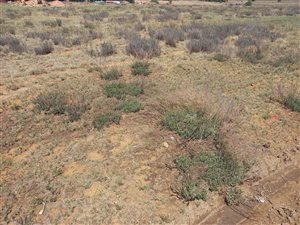 2149 m² Land available in Jameson Park