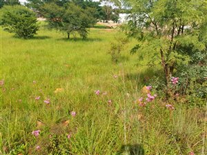 5035 m² Land available in Zwavelpoort