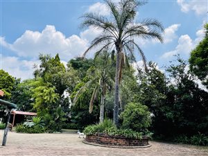 2.6 ha Farm in Lanseria and surrounds