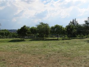 1133 m² Land available in Six Fountains Estate