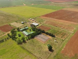 85 ha Farm in Bloemfontein Rural