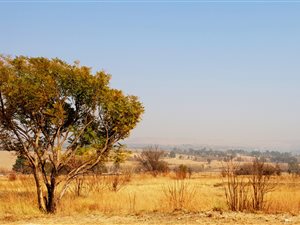 42858 ha Farm in Lanseria and surrounds