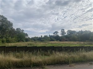 1 ha Farm in Carlswald AH