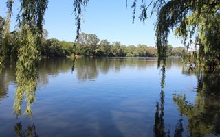 36.8 ha Land available in Vaaloewer