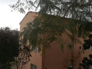 2 Bed Apartment in Clayfield