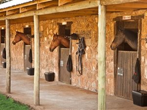 478 m² Land available in Redstone Country Estate
