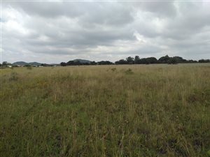 8500 m² Land available in Haakdoornboom