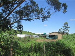 2.4 ha Farm in Clansthal