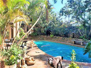 3 Bed House in Glen Anil