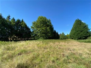 4599 m² Land available in Underberg