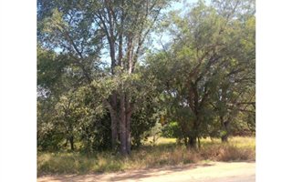 45000 m² Commercial space in Lephalale (Ellisras)