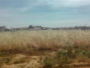 1986 m² Land available in Moorreesburg