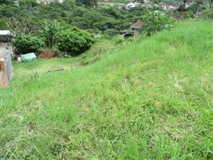1240 m² Land available in Nagina