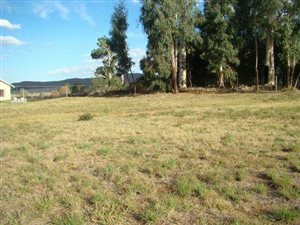 1204 m² Land available in Himeville