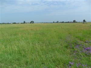 2.3 ha Farm in Boltonwold