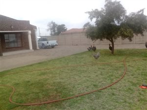 4 Bed House in Ironsyde