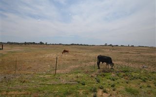 250 ha Land available in Bloemfontein