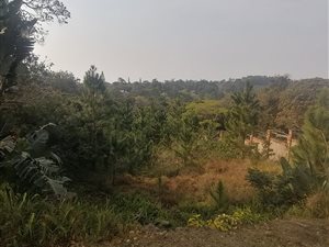 1018 m² Land available in Margate