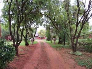 6 Bedroom House in Gerhardsville