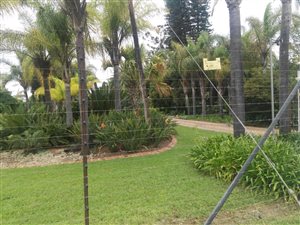9 m² Farm in Tweefontein