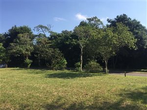 1064 m² Land available in Mzingazi Golf Estate