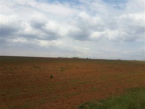 21.8 ha Farm in Middelburg South