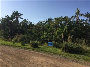 2861 m² Land available in Palm Beach