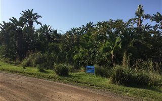 2861 m² Land available in Palm Beach