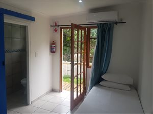12 Bed House in Arboretum