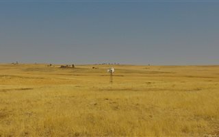 404 ha Farm in Heilbron