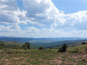 1437 ha Farm in Modimolle