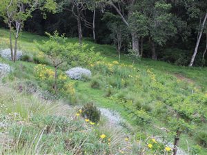 2.4 ha Land available in Everton