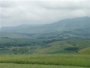 20 ha Farm in Central Drakensberg