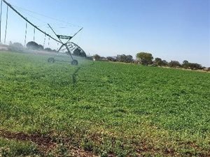 6 ha Farm in Mooinooi