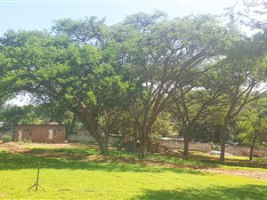 5.1 ha Farm in White River AH