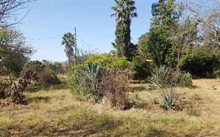 3080 m² Farm in The Orchards